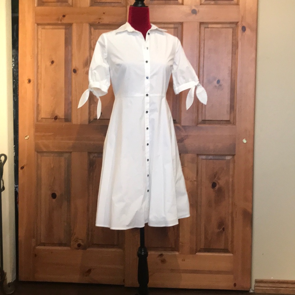 Ann Taylor Shirt dress